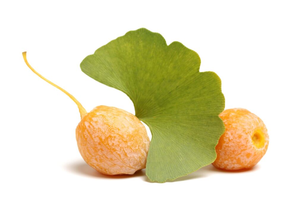 Ginkgo biloba Erectil