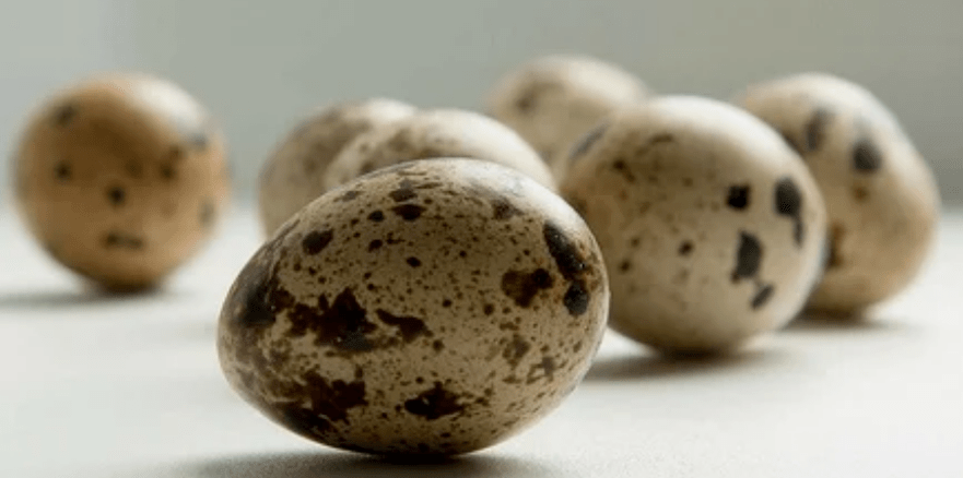 paipalu olas potenci